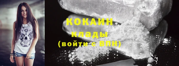 соль ск Алексин