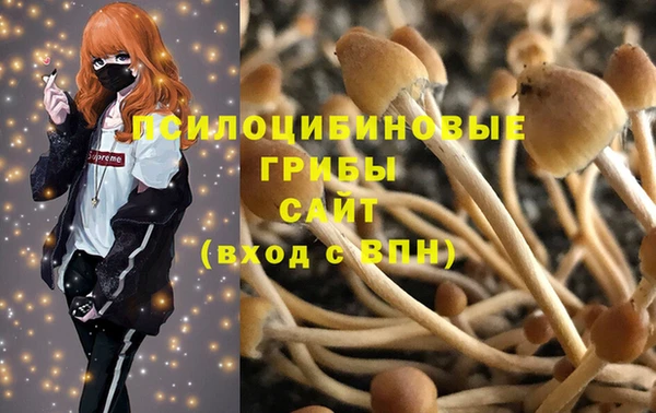 соль ск Алексин