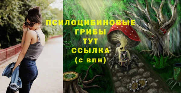 соль ск Алексин