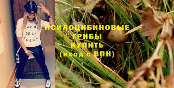 прущие грибы Алексеевка