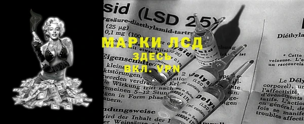 прущие грибы Алексеевка
