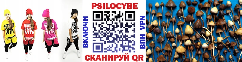 Псилоцибиновые грибы GOLDEN TEACHER  цены   Чадан 